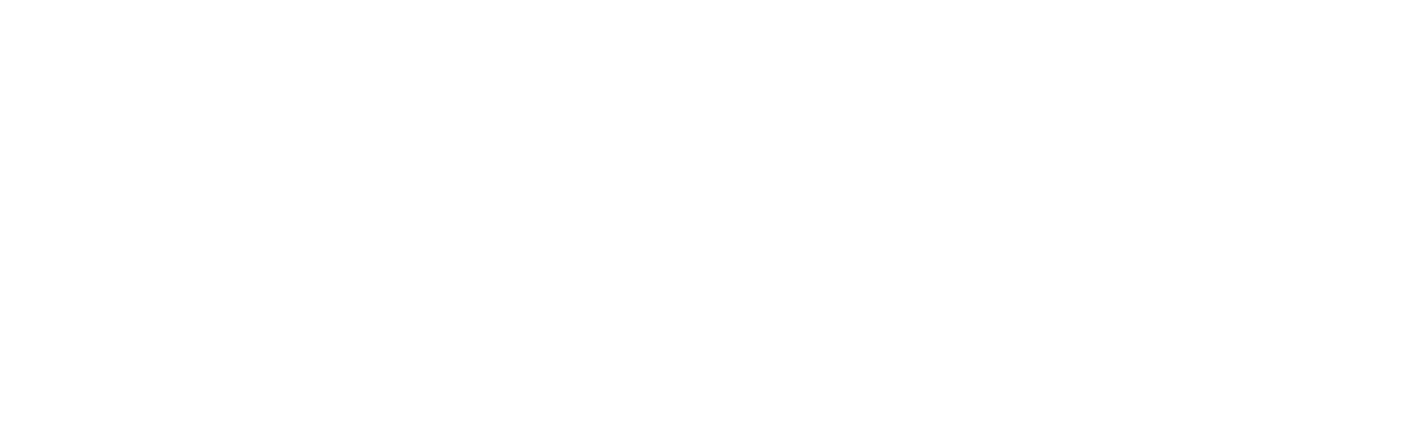NetFyre Logo